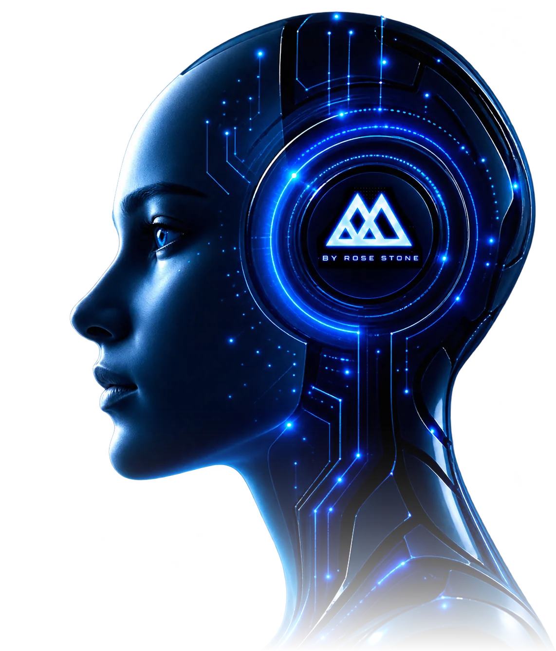 Robot Metamorphysic